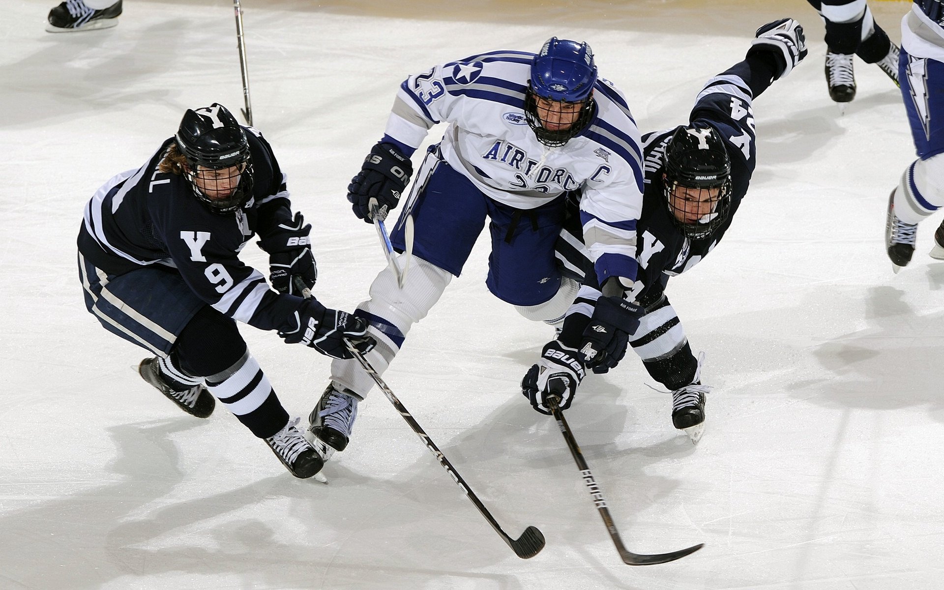 _骑士队年轻血液,逐步成长突破_,骑士队的成员